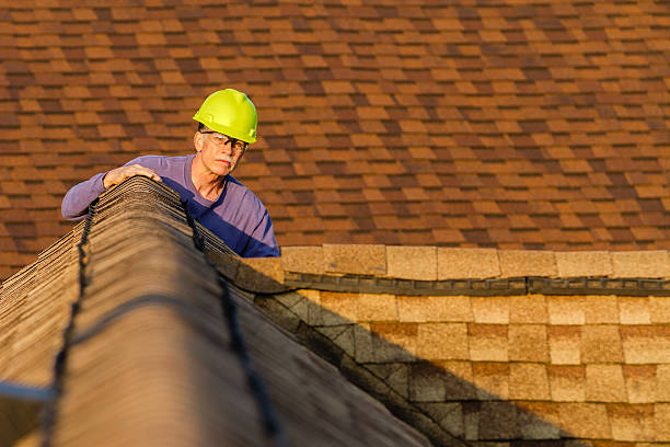 Professional Roofing Contractor in Blue Ridge, TX