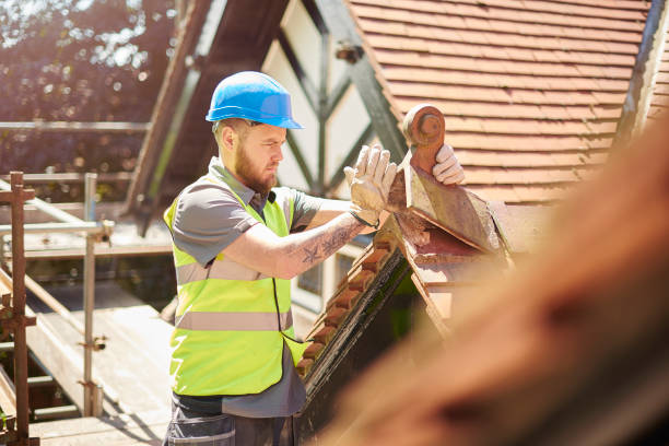 Roof Gutter Cleaning in Blue Ridge, TX